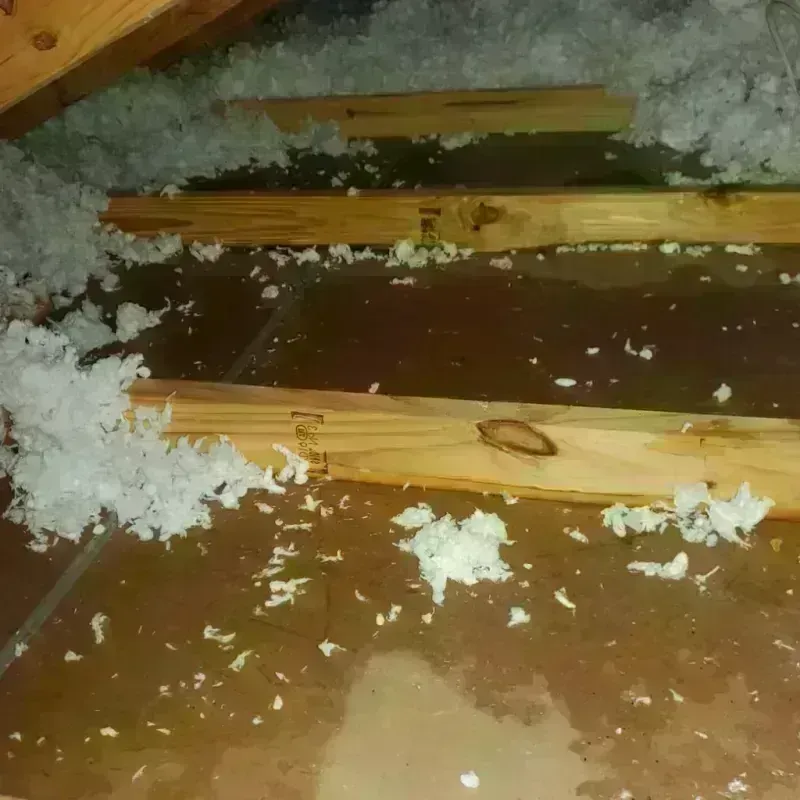 Attic Water Damage in Long Lake, MN