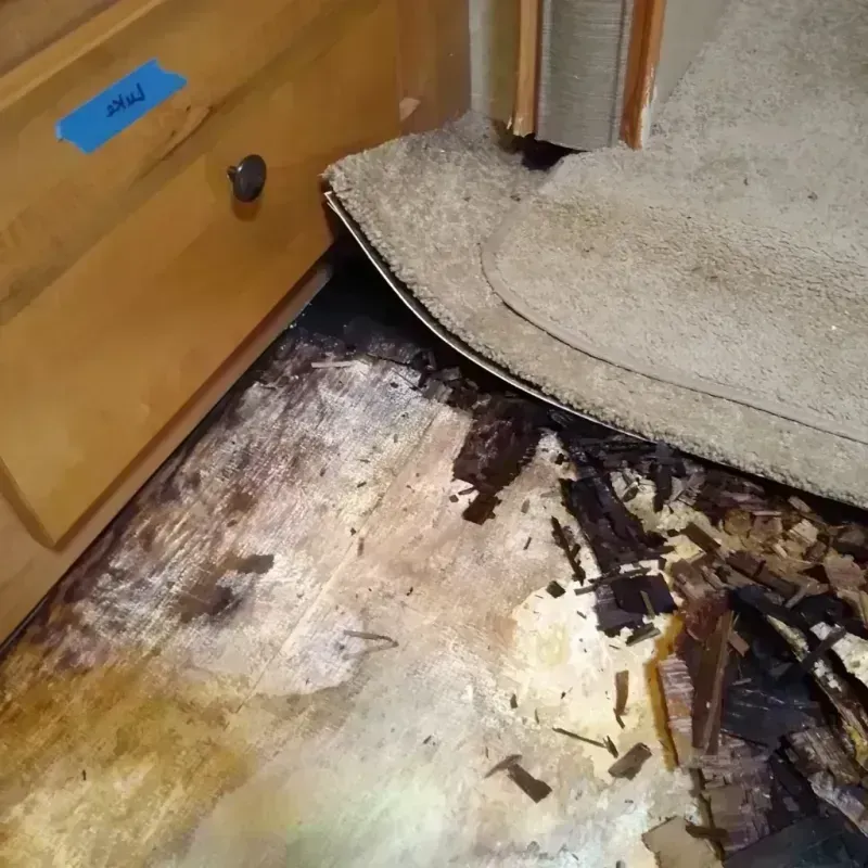 Best Wood Floor Water Damage Service in Long Lake, MN